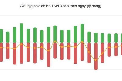 Khối ngoại có tháng bán ròng mạnh nhất từ đầu năm