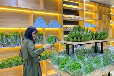 Lâm Đồng đặt mục tiêu phát triển xanh, bền vững giai đoạn 2026 - 2030
