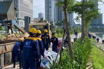 Cầu Giấy: Khẩn trương xử lý hiện tượng cá chết tại hồ công viên CV1