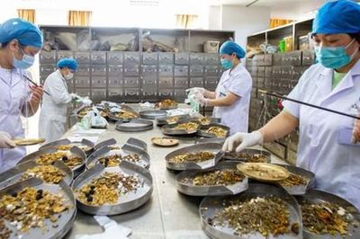 Bảo hiểm y tế và bài toán chi trả thuốc y học cổ truyền
