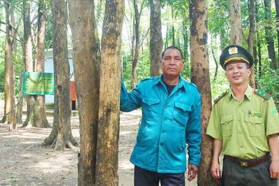 Gia Lai: Vay vốn chính phủ Đức phát triển rừng Tây Nguyên bền vững