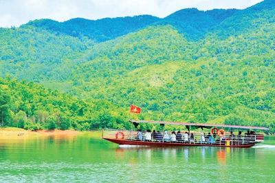 Cấm Sơn xanh hơn