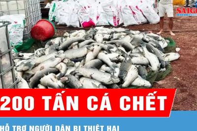 Hỗ trợ người dân bị thiệt hại do cá chết ở hồ Trị An