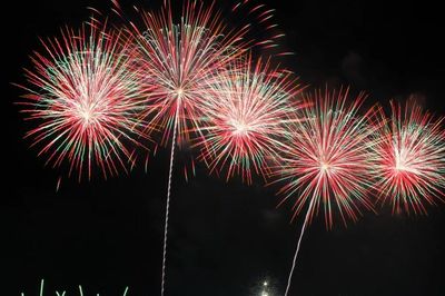 DIFF 2026 mở màn bản hòa ca của thiên nhiên