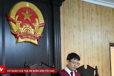 Dùng hóa chất cấm sản xuất giá đỗ, hai chủ cơ sở lĩnh án tù