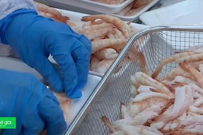 Tôm Việt Nam xuất sang Mỹ gặp áp lực từ thuế, sức mua, đến giá cả, 'thoát hiểm' bằng cách nào?