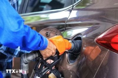 Thu hồi giấy xác nhận và giấy phép phân phối xăng dầu của 2 doanh nghiệp