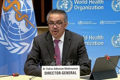 Dịch Ebola: WHO kêu gọi tăng cường hỗ trợ quốc tế