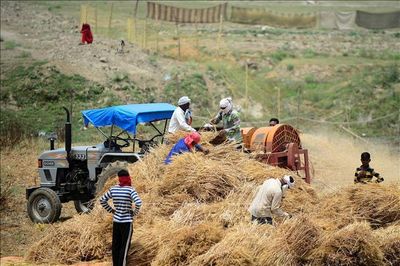 Chiến sự Iran khiến nông dân phải tìm đường thoát phụ thuộc phân bón hóa học