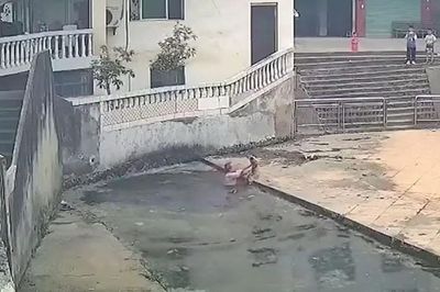 Thấy bé trai rơi xuống ao, cụ ông 69 tuổi lao xuống giải cứu