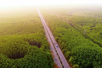 Metro Bến Thành - Cần Giờ giảm gần 3.000 tỉ đồng chi phí giải phóng mặt bằng