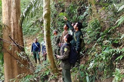 Xã biên giới Trung Lý giữ rừng mùa nắng nóng