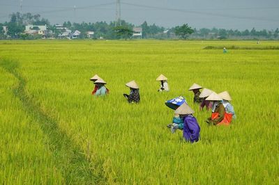 Liên kết làm nông