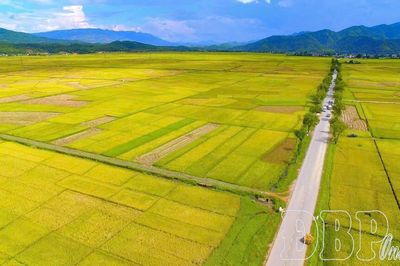 Khoảng lặng của cánh đồng