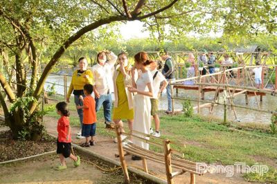 Mùa trái chín: 'Điểm hẹn' hấp dẫn du khách
