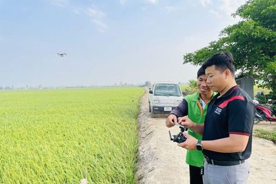 Công nghệ về làng - khi chiếc điện thoại trở thành công cụ làm nông