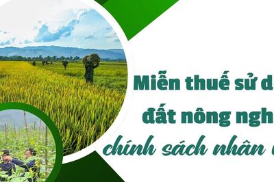 Miễn thuế sử dụng đất nông nghiệp chính sách nhân văn