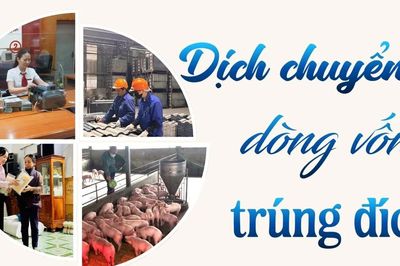 Dịch chuyển dòng vốn trúng đích