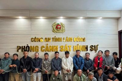 Công an Lâm Đồng bắt giữ hơn 20 đối tượng tại tụ điểm đá gà ăn tiền