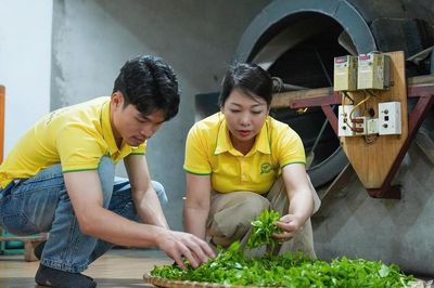 Dấu ấn của nữ giám đốc Hợp tác xã Hương Vân Trà