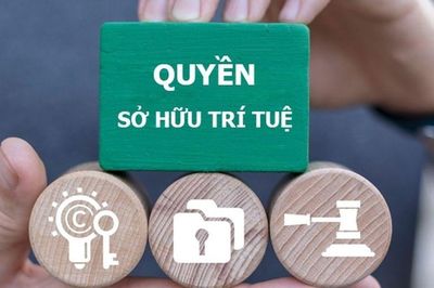 Theo dòng thời sự: Bảo vệ bản quyền báo chí là bảo vệ nền báo chí chuyên nghiệp