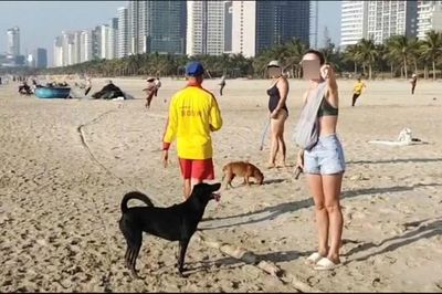 Đà Nẵng kiên quyết xử lý hành vi phản cảm của du khách nước ngoài