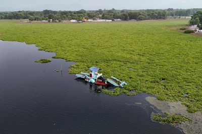 Thử nghiệm máy gom cắt bèo trên sông