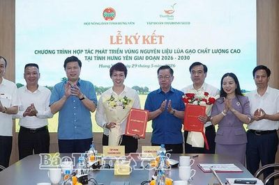 Hưng Yên: Thúc đẩy liên kết chuỗi giá trị nông nghiệp bền vững
