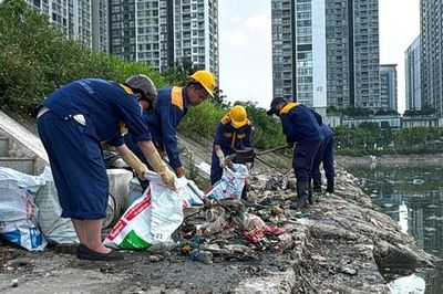Cầu Giấy: Tổng lực 'giải cứu' hồ Công viên CV1 khỏi sự cố cá chết dạt bờ