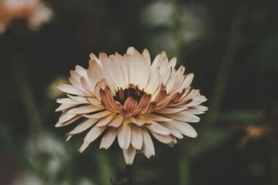Số cuối ngày sinh Âm lịch của người 'giàu nứt vách'