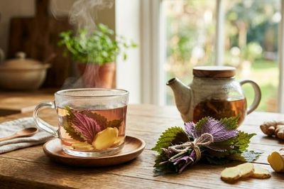 Từ lá tía tô quen thuộc, làm 4 thức uống thanh mát cho ngày hè
