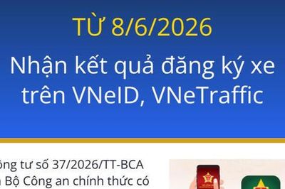 Từ 8/6, nhận kết quả đăng ký xe trên VNeID, VneTraffic