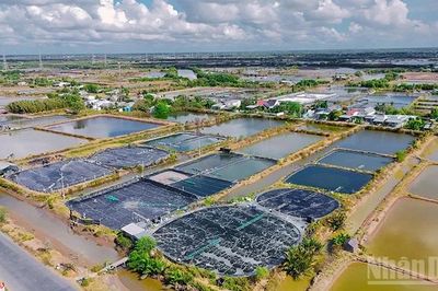 Vĩnh Long phát huy lợi thế kinh tế biển