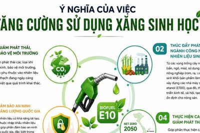 Triển khai toàn quốc xăng sinh học E10: Bộ Công thương cam kết bảo đảm quyền lợi người tiêu dùng