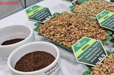 Giá cà phê hôm nay 1-6: Kỳ vọng giữ được giá tốt