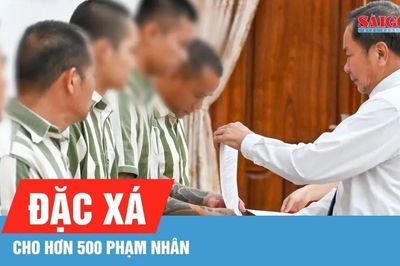 Hơn 500 phạm nhân được đặc xá, sớm tái hòa nhập cộng đồng