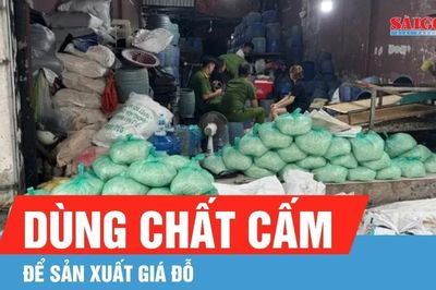 TPHCM: Khởi tố 4 bị can dùng chất cấm để sản xuất giá đỗ