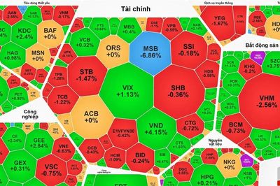 Dòng tiền đứng ngoài thị trường, VN-Index tiếp tục giảm mạnh