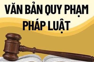 Phó Thủ tướng yêu cầu tổng hợp vướng mắc chính sách trước ngày 5/6