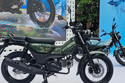 Nhiều hãng xe công bố danh mục xe tương thích với xăng E10