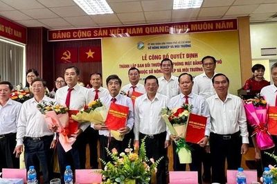 Thành lập Ban Bồi thường giải phóng mặt bằng TPHCM
