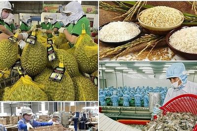 Xuất khẩu nông, lâm, thủy sản vượt 30,6 tỷ USD sau 5 tháng