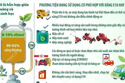 Xăng sinh học E10 và những điều người dân cần biết trước khi sử dụng