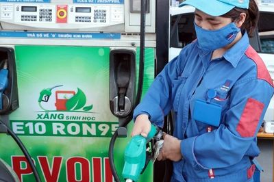 Xăng E10: Lời giải cho an ninh năng lượng, kiến tạo nền kinh tế Xanh và bền vững
