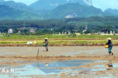 Nắng nóng kéo dài gây nhiều áp lực lên đời sống và sản xuất ở Quảng Trị