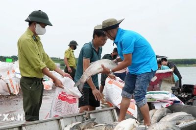 Hướng dẫn người dân khắc phục sau sự cố hơn 200 tấn cá chết trên hồ Trị An