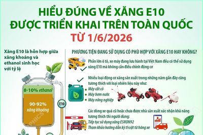 Hiểu đúng về xăng E10 được triển khai trên toàn quốc từ ngày 1/6/2026