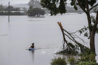 Bão lớn tàn phá Tây Australia, gần 70.000 hộ dân mất điện