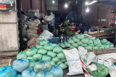 Khởi tố 4 bị can liên quan vụ sản xuất hơn 1.000 tấn giá đỗ chứa hóa chất cấm
