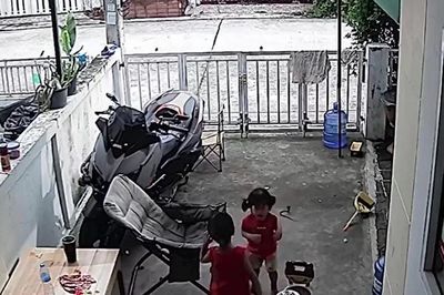 Bé gái 1 tuổi khóc thét khi đối mặt rắn hổ mang trong sân nhà